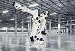 1,000kg payload
